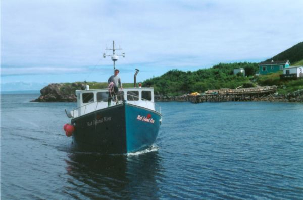499: The "Red Island Rose". (circa 2000) [courtesy of Madonna (Bishop) Mulrooney]
